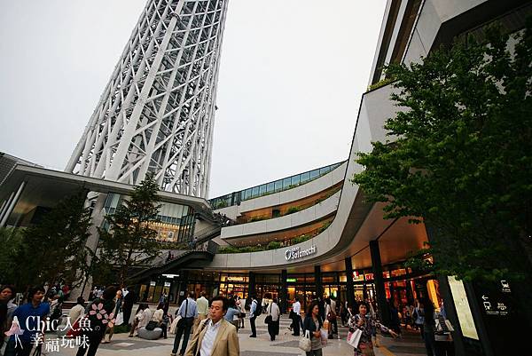 Tokyo Sky Tree東京晴空塔 (24)