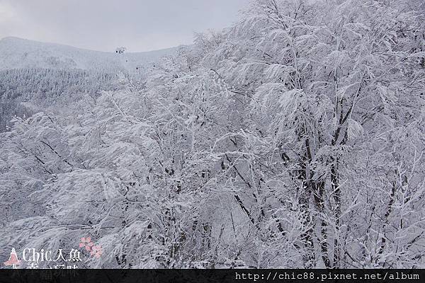 藏王山麓至樹冰高原-第一段 (35).jpg