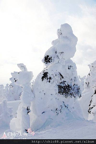 藏王樹冰-地藏山頂站  (74).jpg