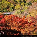 京都八瀨琉璃光院 (67)