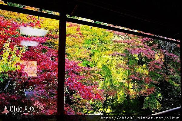 京都八瀨琉璃光院 -書院二階 (1)