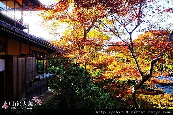 京都八瀨琉璃光院 -書院二階 (6)