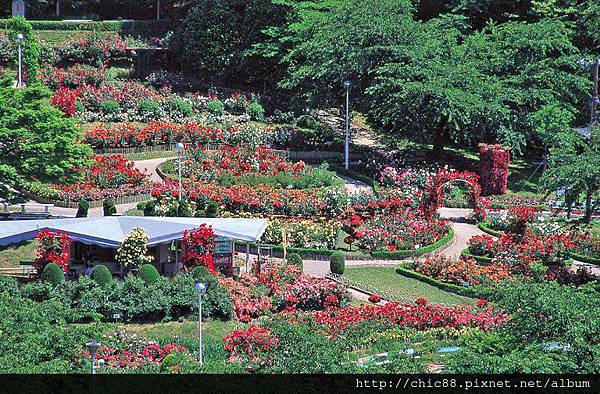 花卷溫泉 (10).jpg