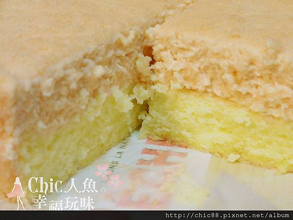 LeTAO Peche Double水蜜桃雙層乳酪蛋糕-20090718 (12)