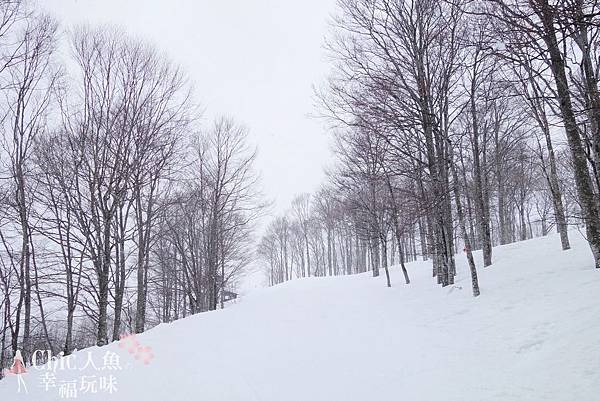 白馬村-岩岳-SNOW WALK (122)