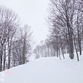 白馬村-岩岳-SNOW WALK (122)