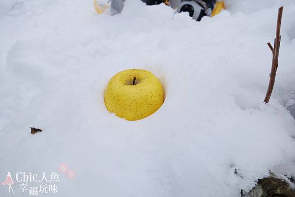 白馬村-岩岳-SNOW WALK (78)