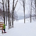 白馬村-岩岳-SNOW WALK (36)