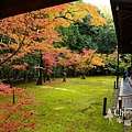 高桐院2012 (173)