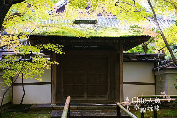 高桐院2012 (96)