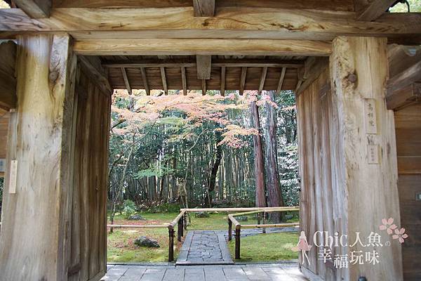 高桐院2012 (38)