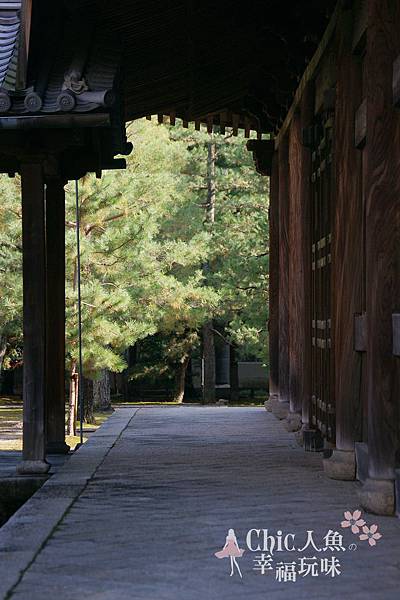 高桐院2012 (28)