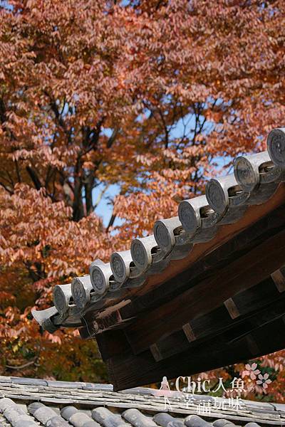 高桐院2012 (6)