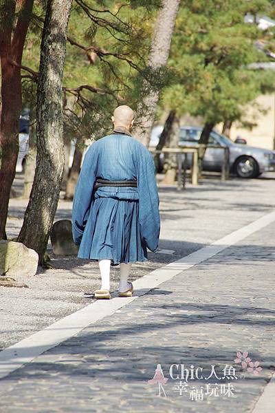 高桐院2012 (5)