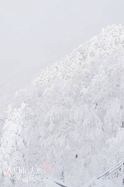 龍王滑雪場 (18)