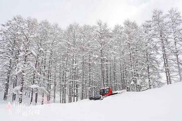 龍王滑雪場 (12)