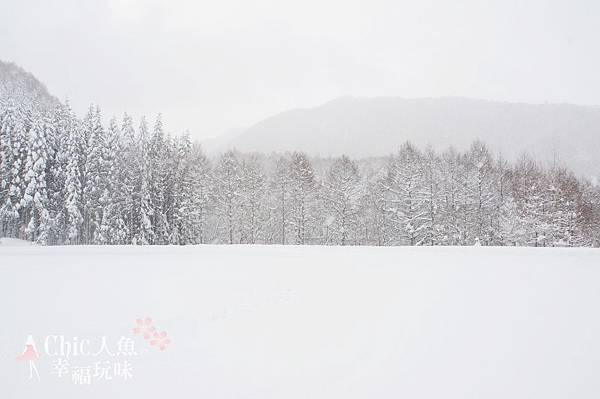 龍王滑雪場 (6)