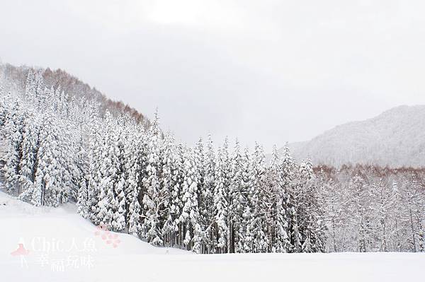 龍王滑雪場 (5)