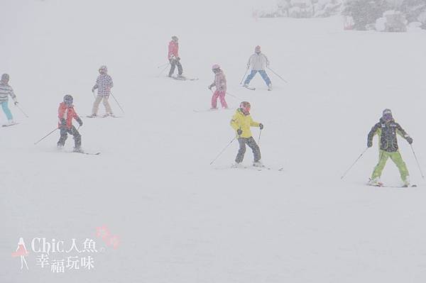 苗場王子滑雪場 (100)