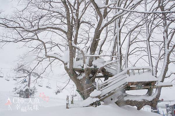 苗場王子滑雪場 (98)