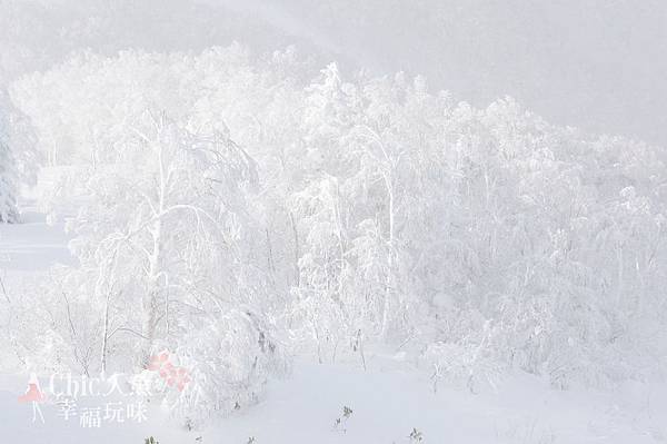 長野縣龍王滑雪場-空中纜車 (27)