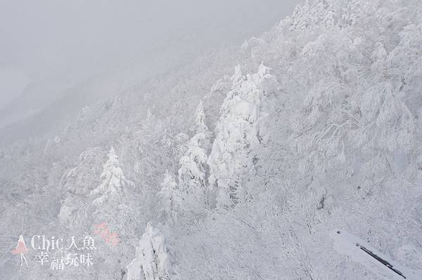 長野縣龍王滑雪場-空中纜車 (17)