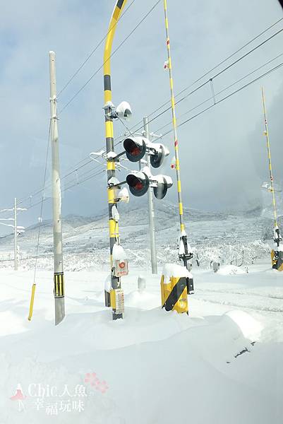 長野縣龍王滑雪場 (235)