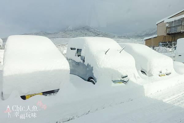 長野縣龍王滑雪場 (232)