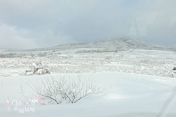 長野縣龍王滑雪場 (231)