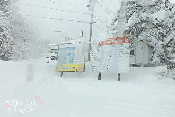 長野縣龍王滑雪場 (230)