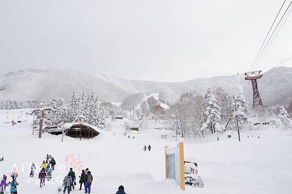 長野縣-龍王滑雪場 (59)