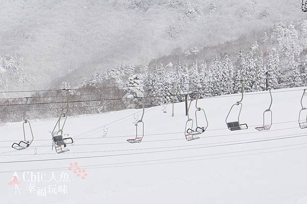 長野縣-龍王滑雪場 (56)