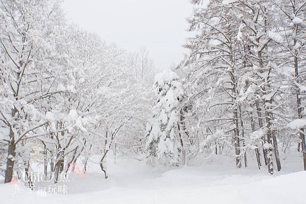 長野縣-龍王滑雪場 (18)