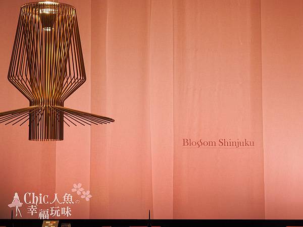 JR九州Bloosom Shinjuku Hotel (64)