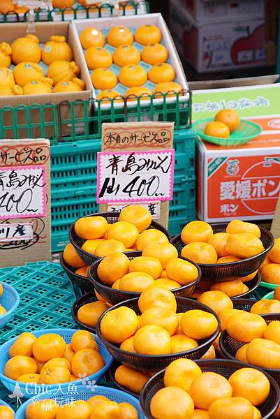 橫濱洪福寺商店街 (99)