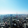 ANDAZ Tokyo-Day Tokyo Tower View in the Room (29)