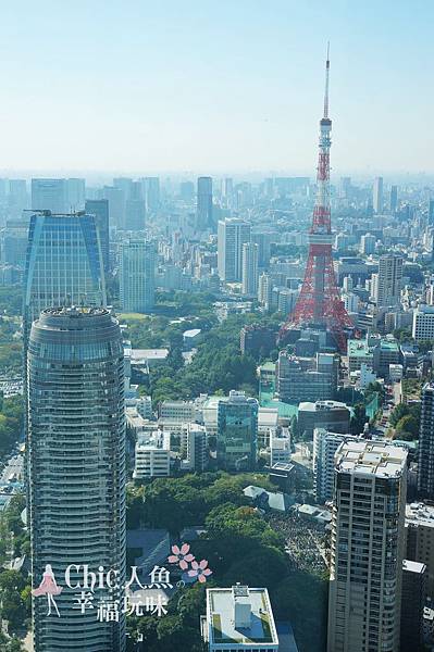 ANDAZ Tokyo-Day Tokyo Tower View in the Room (18)