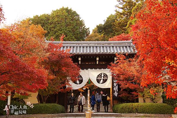 長岡京光明寺 (13)