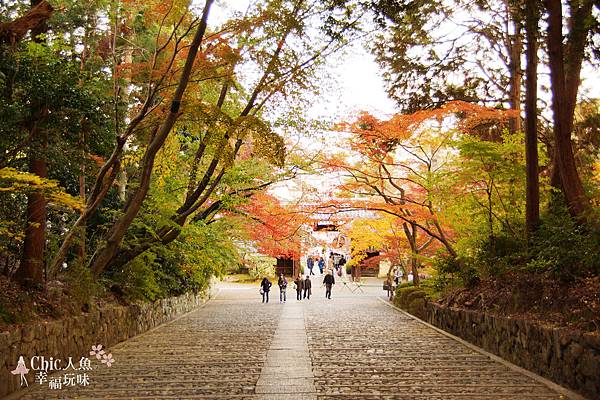 長岡京光明寺 (42)