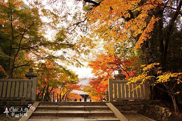 長岡京光明寺 (48)