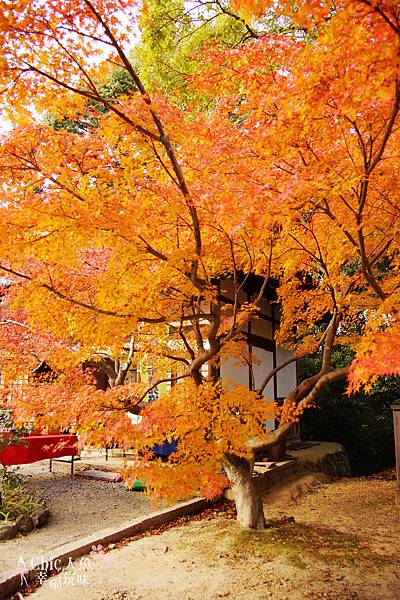 長岡京光明寺 (62)