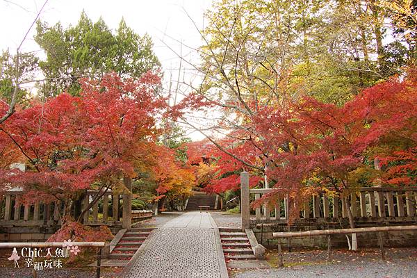 長岡京光明寺 (154)