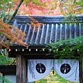 長岡京光明寺 (191)