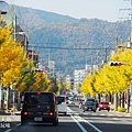 京都寶筐院2014紅葉 (119)