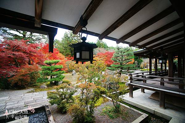 京都西芳寺-苔寺 (23)