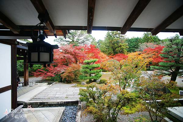 京都西芳寺-苔寺 (24)