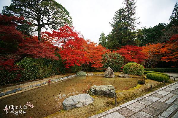 京都西芳寺-苔寺 (28)