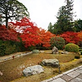 京都西芳寺-苔寺 (28)