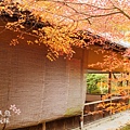 京都西芳寺-苔寺 (29)