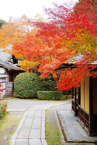 京都西芳寺-苔寺 (31)